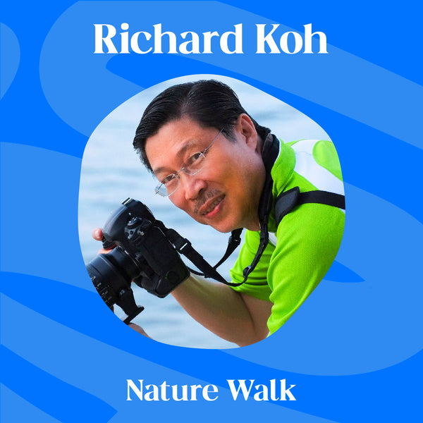 Immersive Nature and Photography Walk for 12 pax