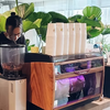 Live Coffee Cart Service for Your Event (2hrs)