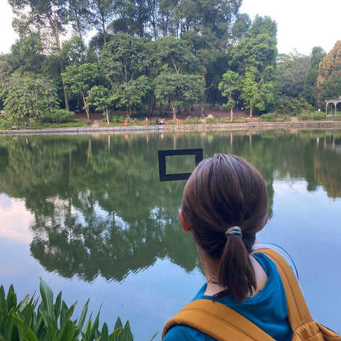 Forest bathing taster session at Botanic Gardens (up to 8 pax)