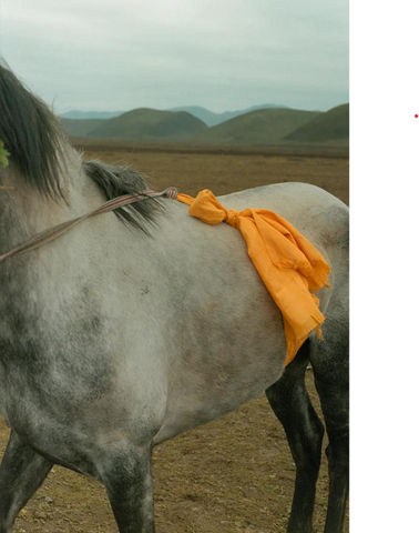 The Fire Horse Set