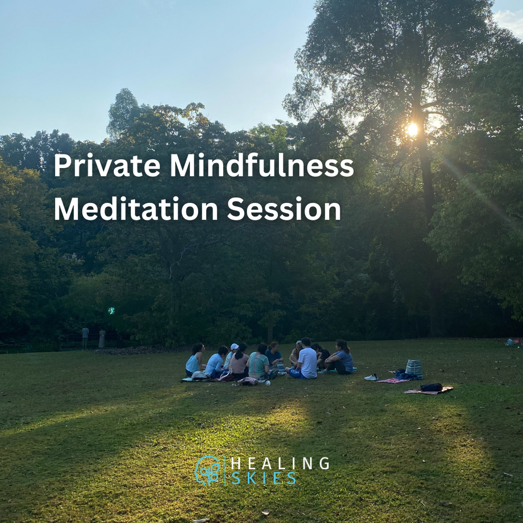 Private Mindfulness Meditation Session in Nature for 1 pax