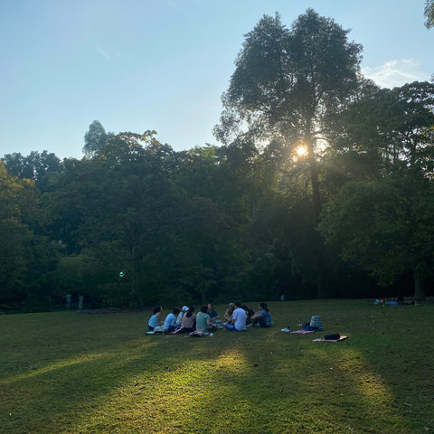 Forest bathing taster session at Botanic Gardens (up to 8 pax)