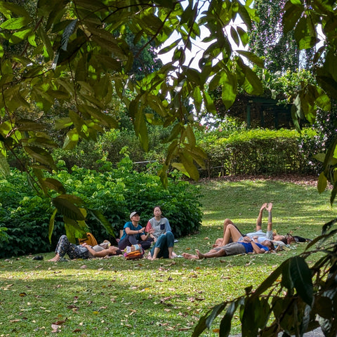 Forest bathing taster session at Botanic Gardens (up to 8 pax)