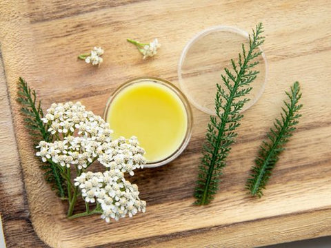 Crafting Herbs for Wellness Workshop