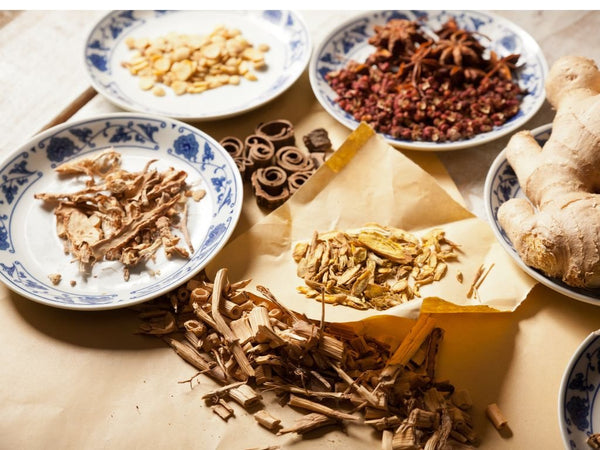 Crafting Herbs for Wellness Workshop