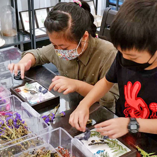 Butterfly Dome Workshop (1pax)