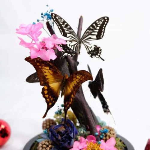 Butterfly Dome Workshop (1pax)