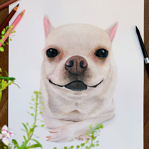 SuperFluffy Custom Pet Portrait Painting
